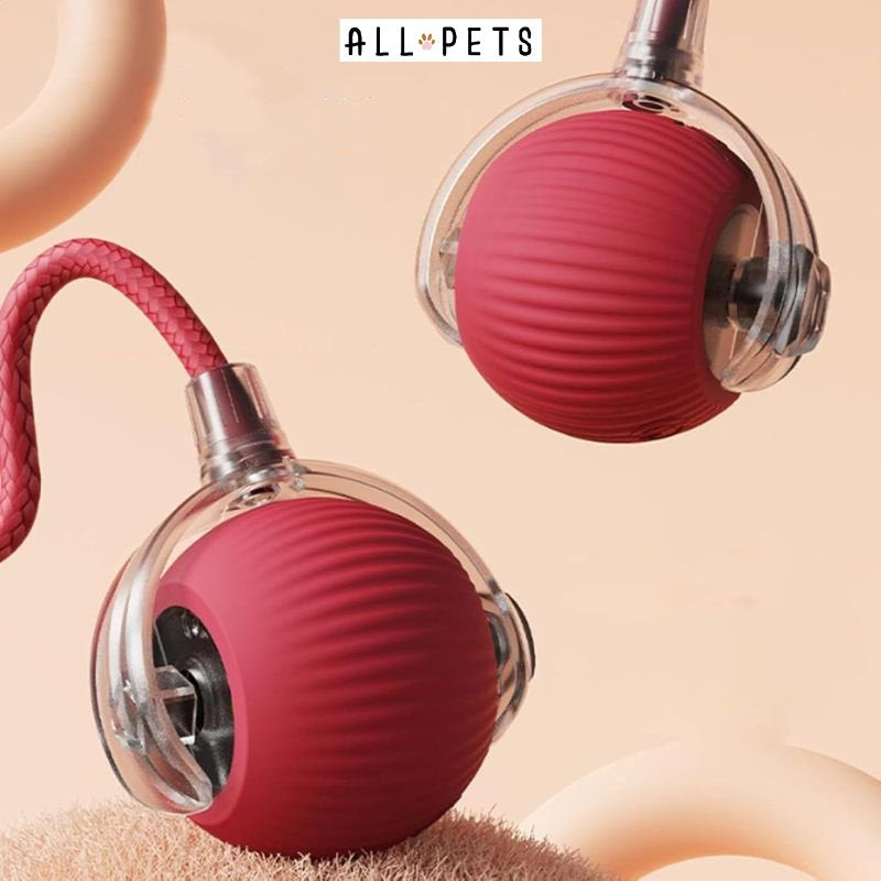 Interactive Mouse Ball for Cats - Stimulating Toy with Feathers