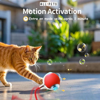 Interactive Mouse Ball for Cats - Stimulating Toy with Feathers