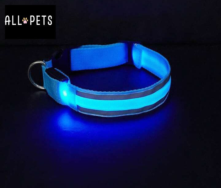 Collier led lumineux - Sécurité Nocturne Rechargeable