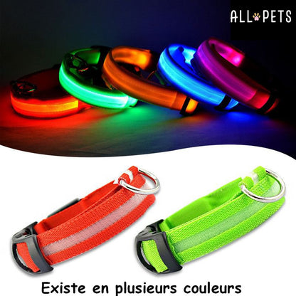 Collier led lumineux - Sécurité Nocturne Rechargeable