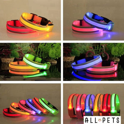 Collier led lumineux - Sécurité Nocturne Rechargeable