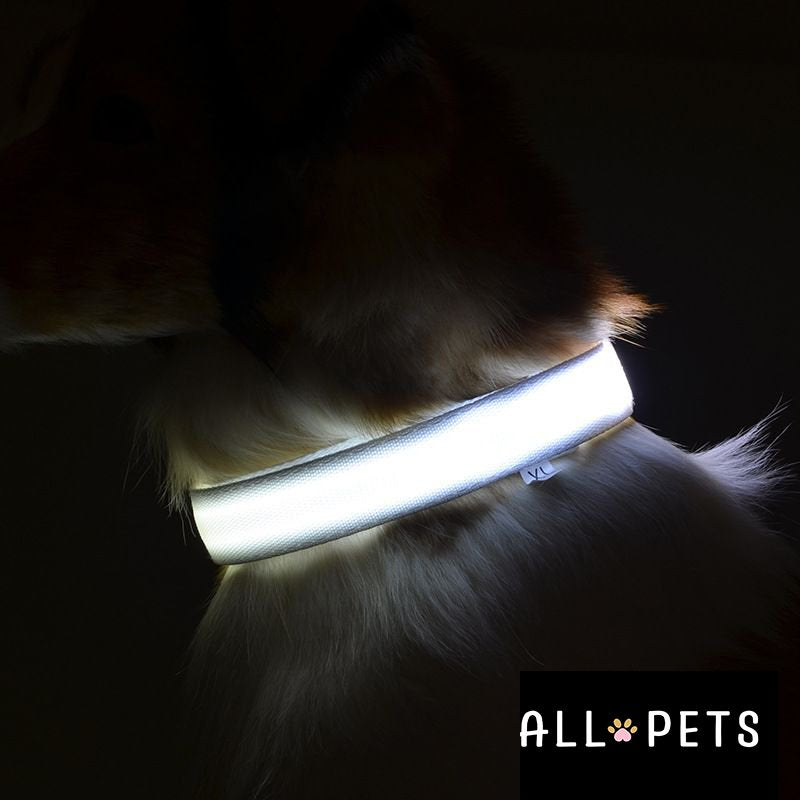 Collier led lumineux - Sécurité Nocturne Rechargeable