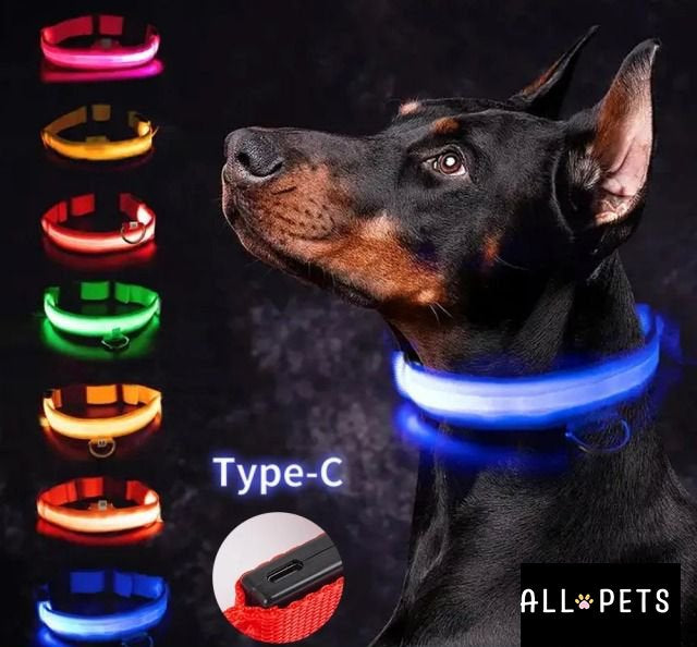 Collier led lumineux - Sécurité Nocturne Rechargeable