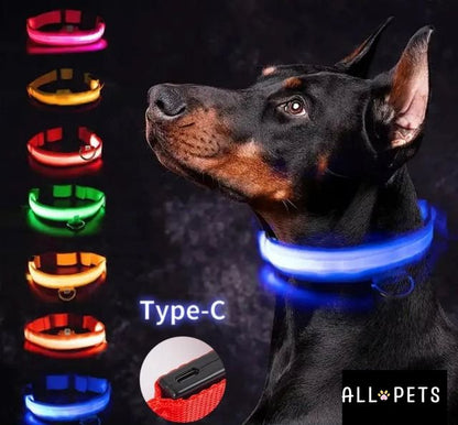 Collier led lumineux - Sécurité Nocturne Rechargeable