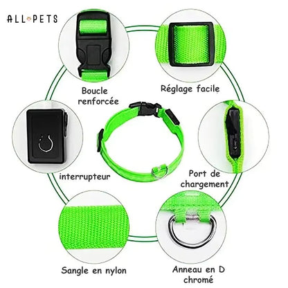 Collier led lumineux - Sécurité Nocturne Rechargeable