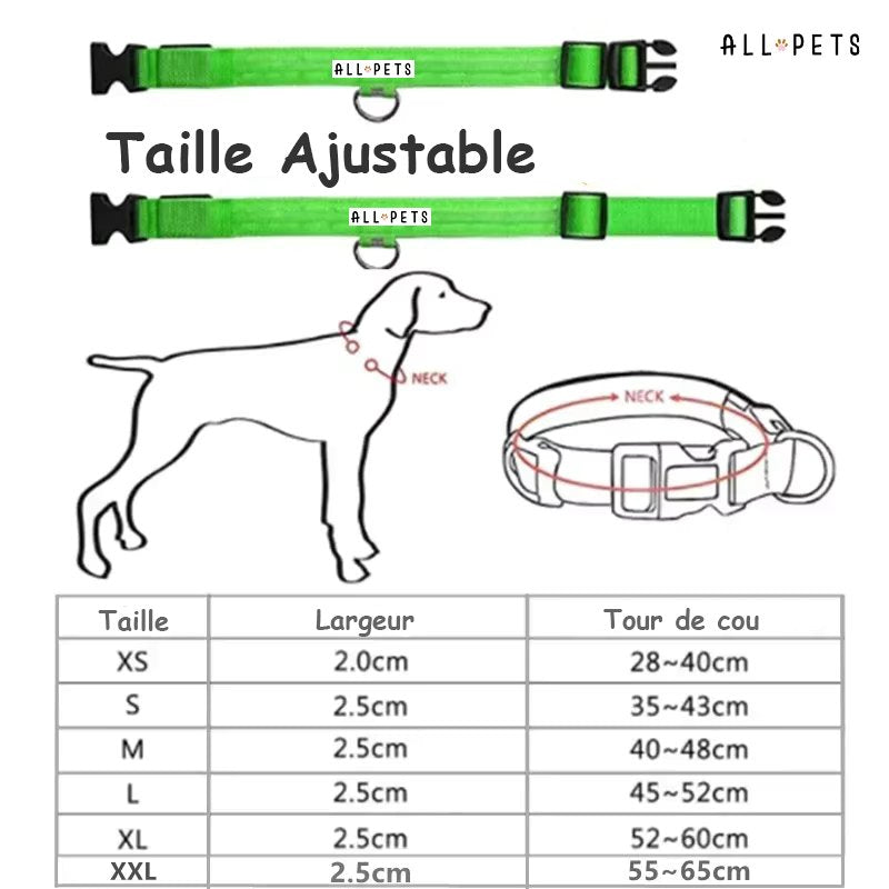 Collier led lumineux - Sécurité Nocturne Rechargeable