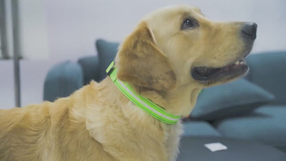 Collier led lumineux - Sécurité Nocturne Rechargeable